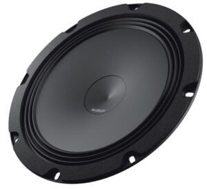 Round car subwoofer speaker with black cone and foam surround.